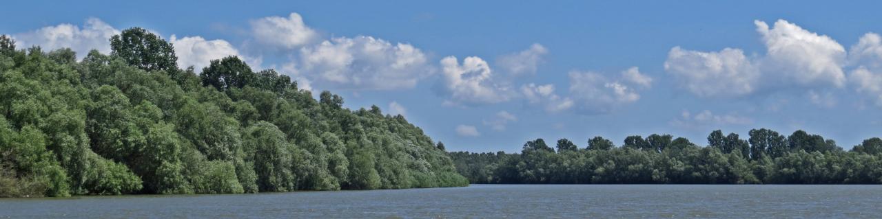 Le Delta du Danube