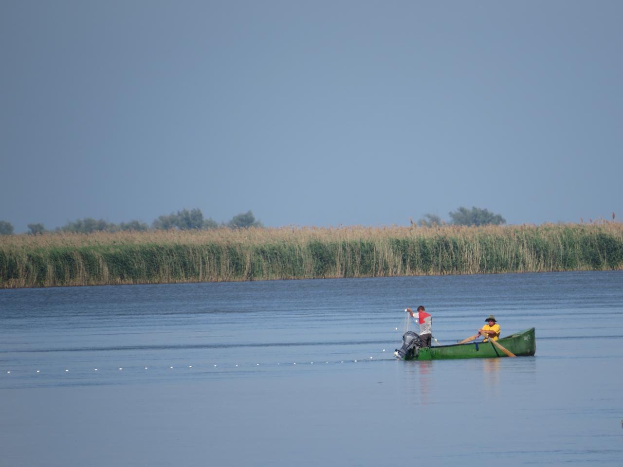 Le Delta du Danube