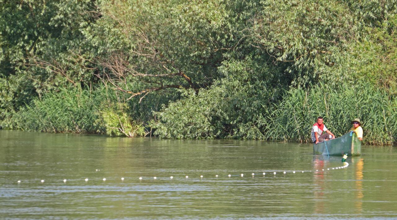 Le Delta du Danube