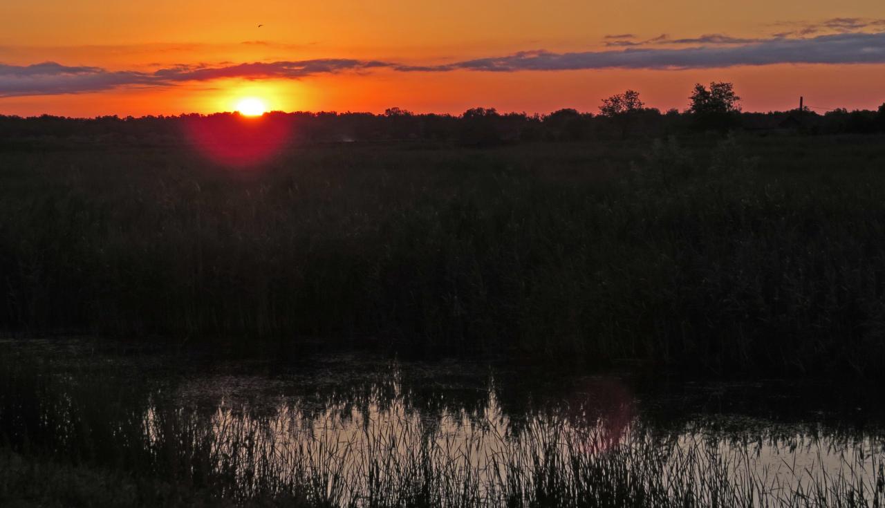 Le Delta du Danube