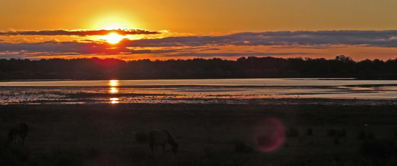 Le Delta du Danube