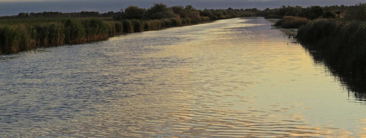 Le Delta du Danube