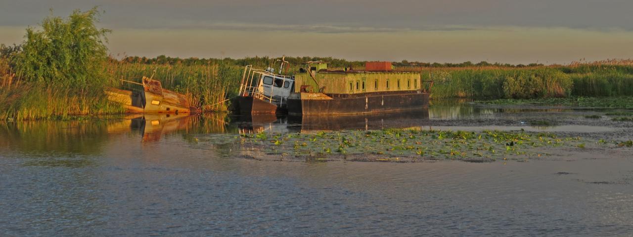 Le Delta du Danube