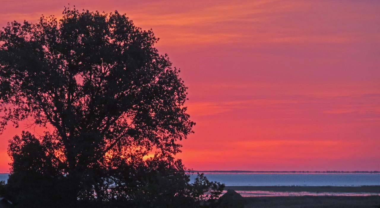 Le Delta du Danube