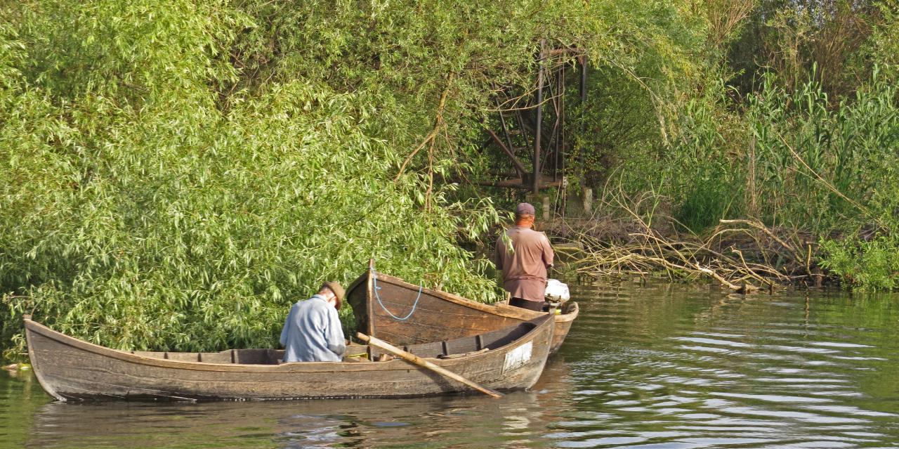 Le Delta du Danube