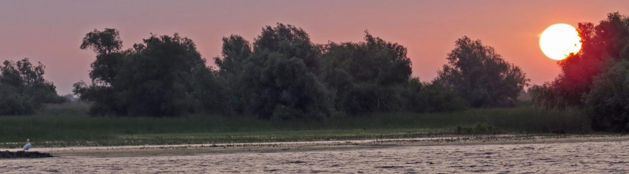 Le Delta du Danube