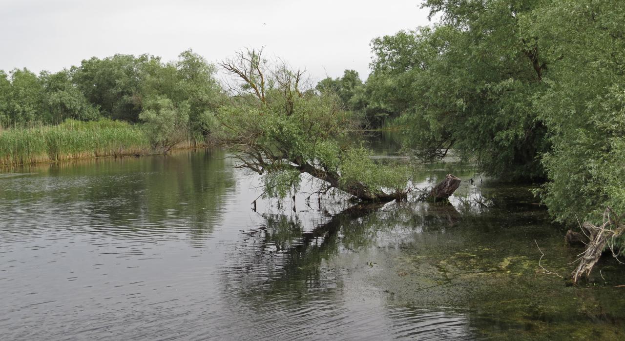 Le Delta du Danube