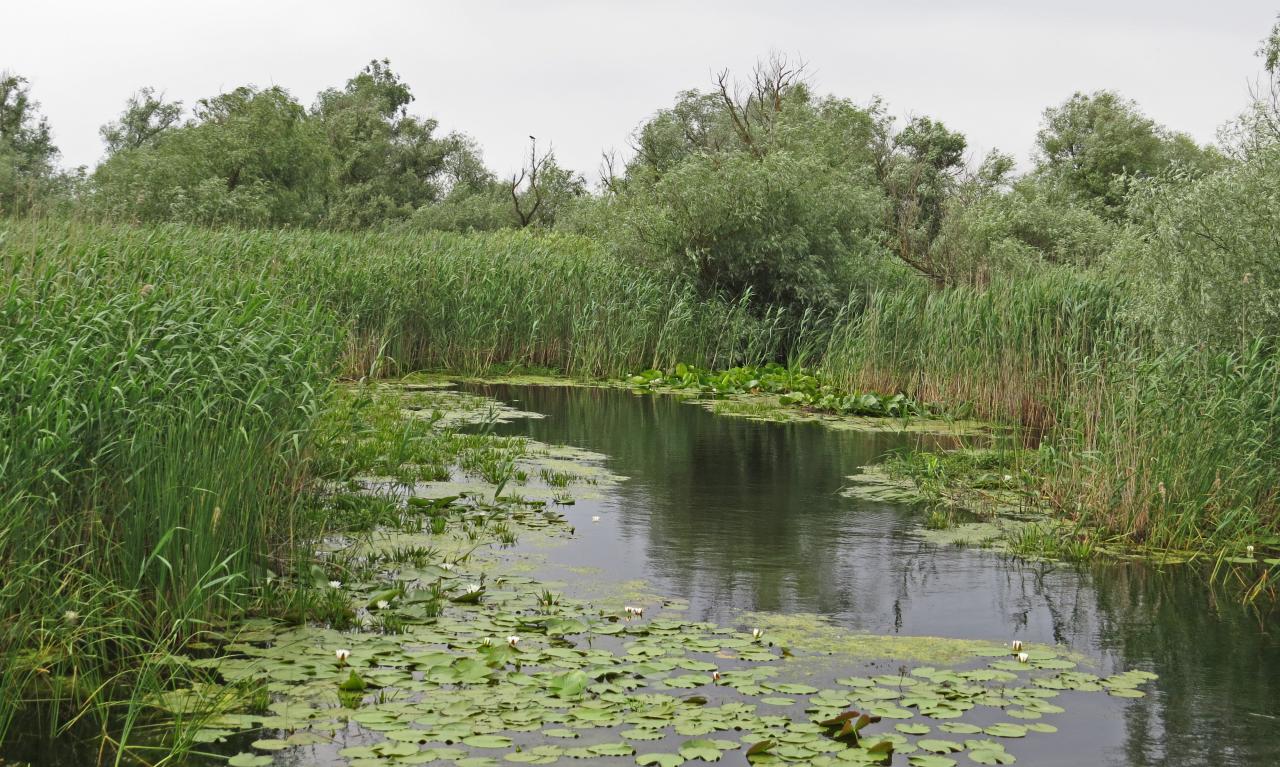 Le Delta du Danube