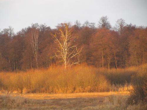 img-8966.jpg