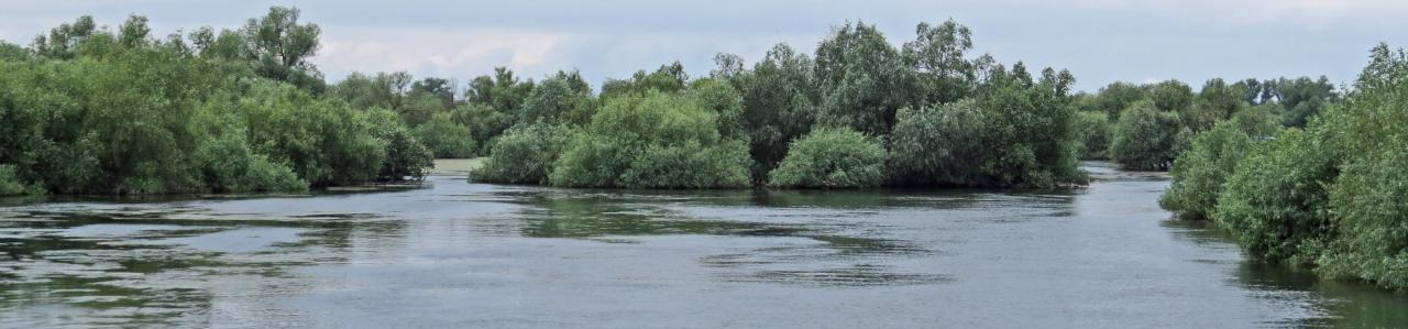 Le Delta du Danube