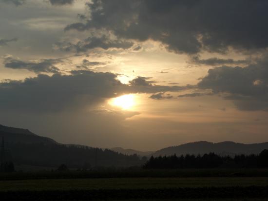 Le soir à l'affût