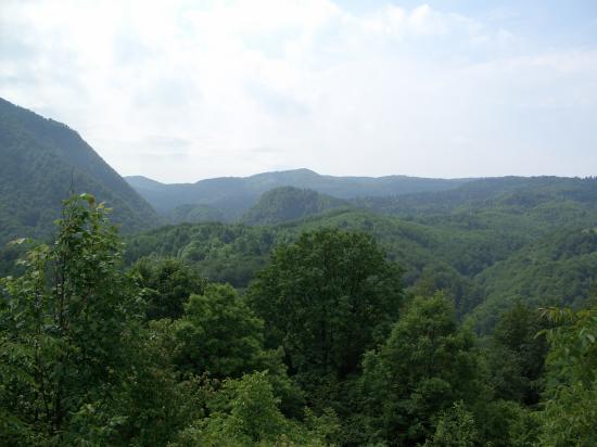 La montagne aux ours...