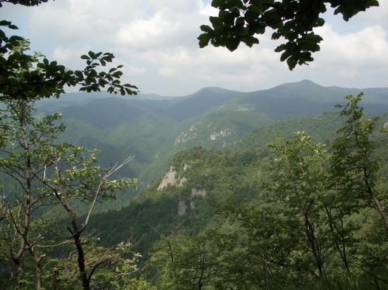 La montagne aux ours...