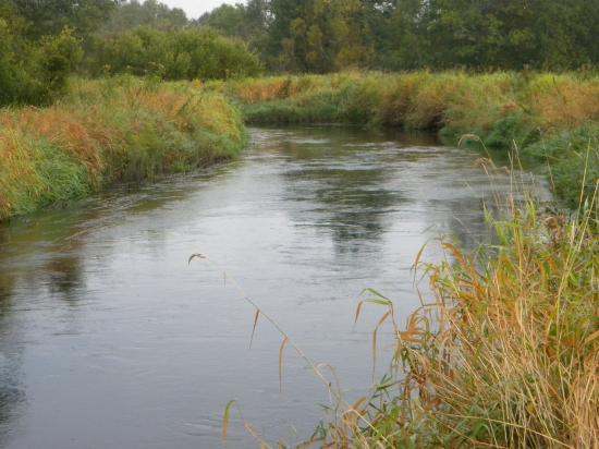 Eau claire et poissonneuse