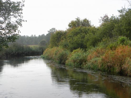 Rivière à saumon et truite, brochet, perche...