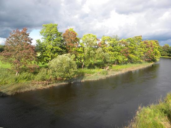 Rivière à saumon et truite, brochet, perche...