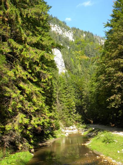 Des gorges domaine du chamois et de l'aigle....