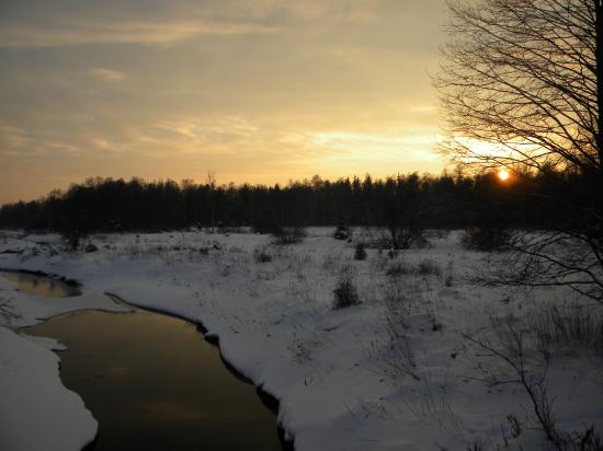 Rivière travressant la grande sylve, Bialowieza