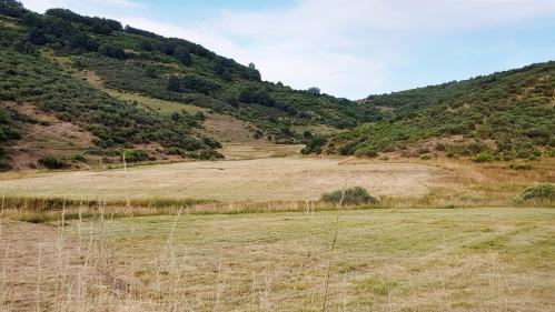 20210809 201441 chemin renards reduit
