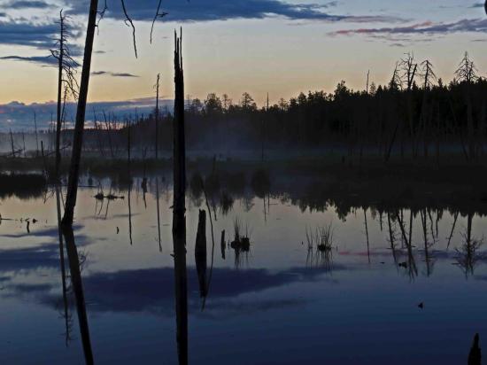 Ambiance paysage finlandais carelie