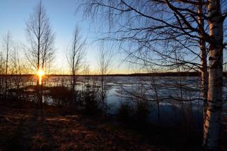 Dsc 5239 reduit