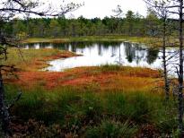 estonie-septembre-2012-900.jpg