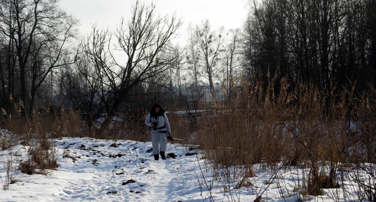 Bialowieza en hiver