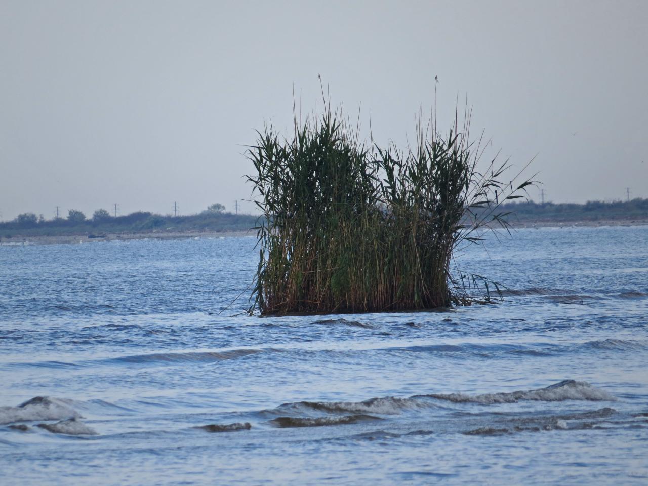 Le Delta du Danube