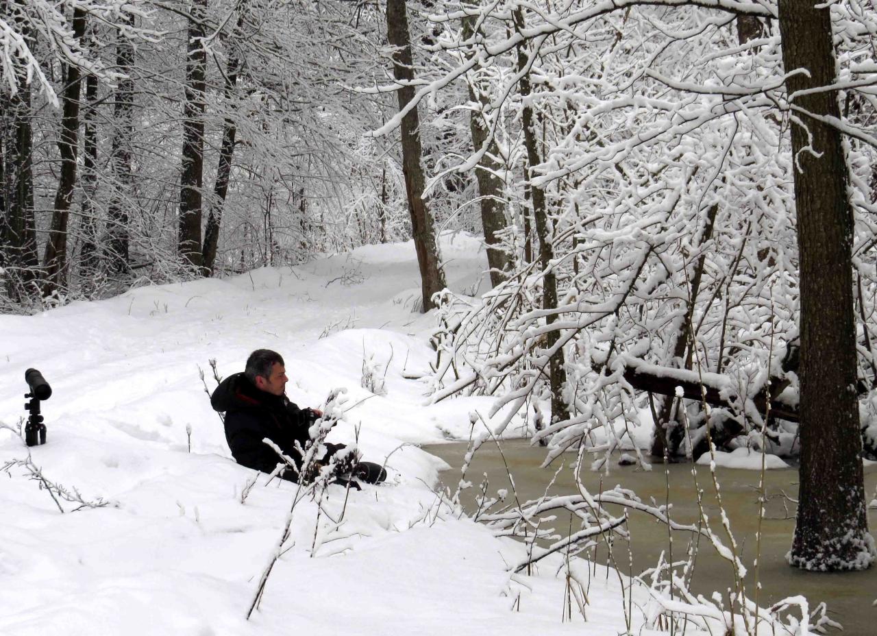 Bialowieza en hiver