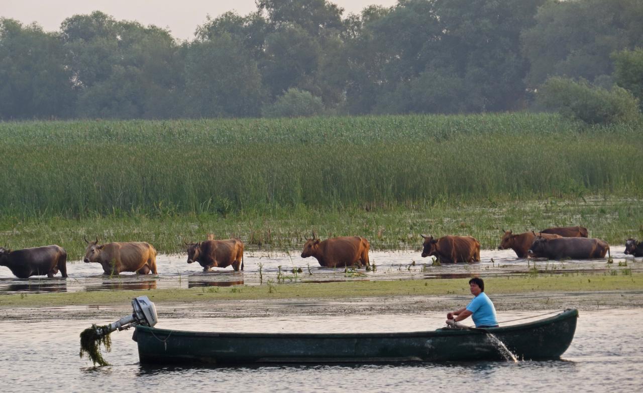 Le Delta du Danube