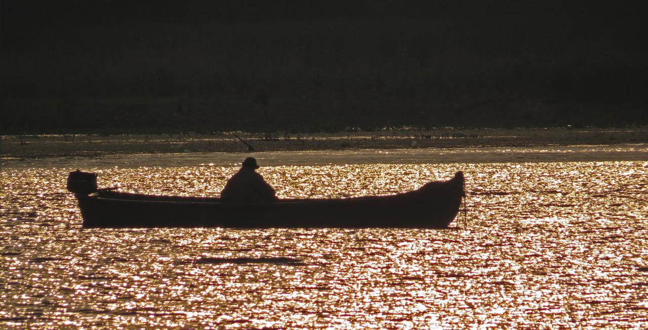 Le Delta du Danube