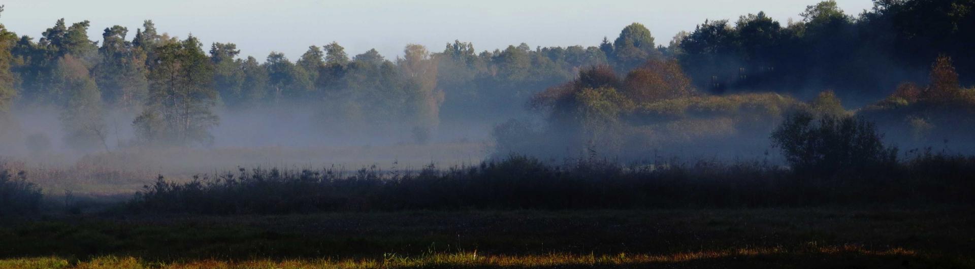 Pologne Bialowieza et Biebrza