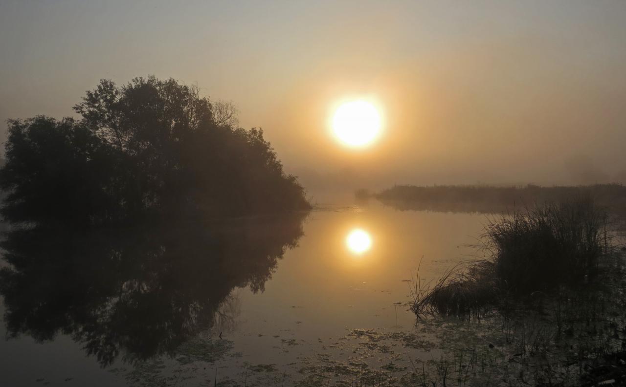 Le Delta du Danube