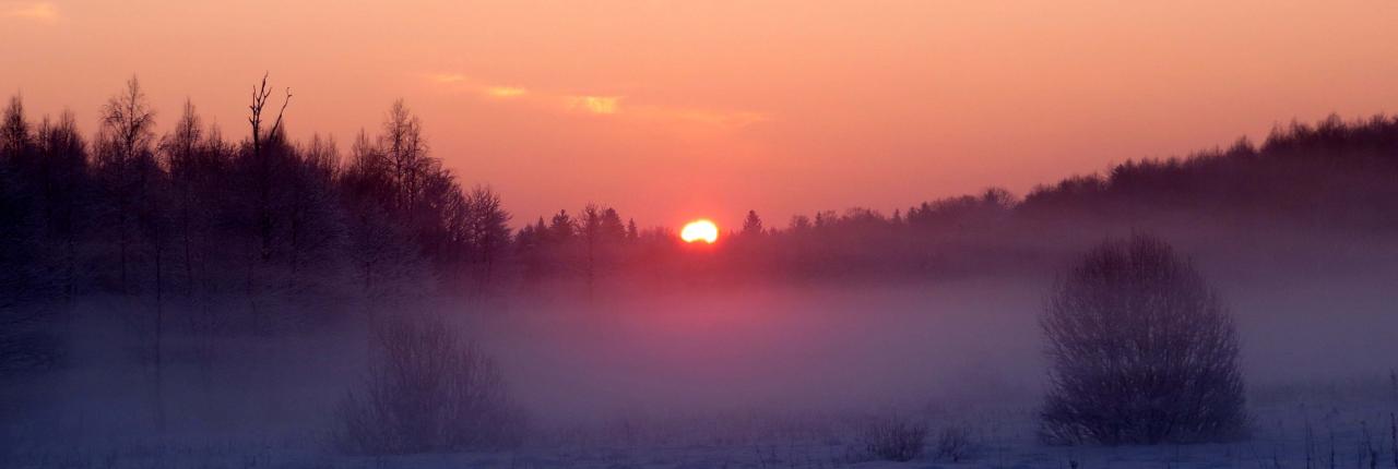 Bialowieza en hiver