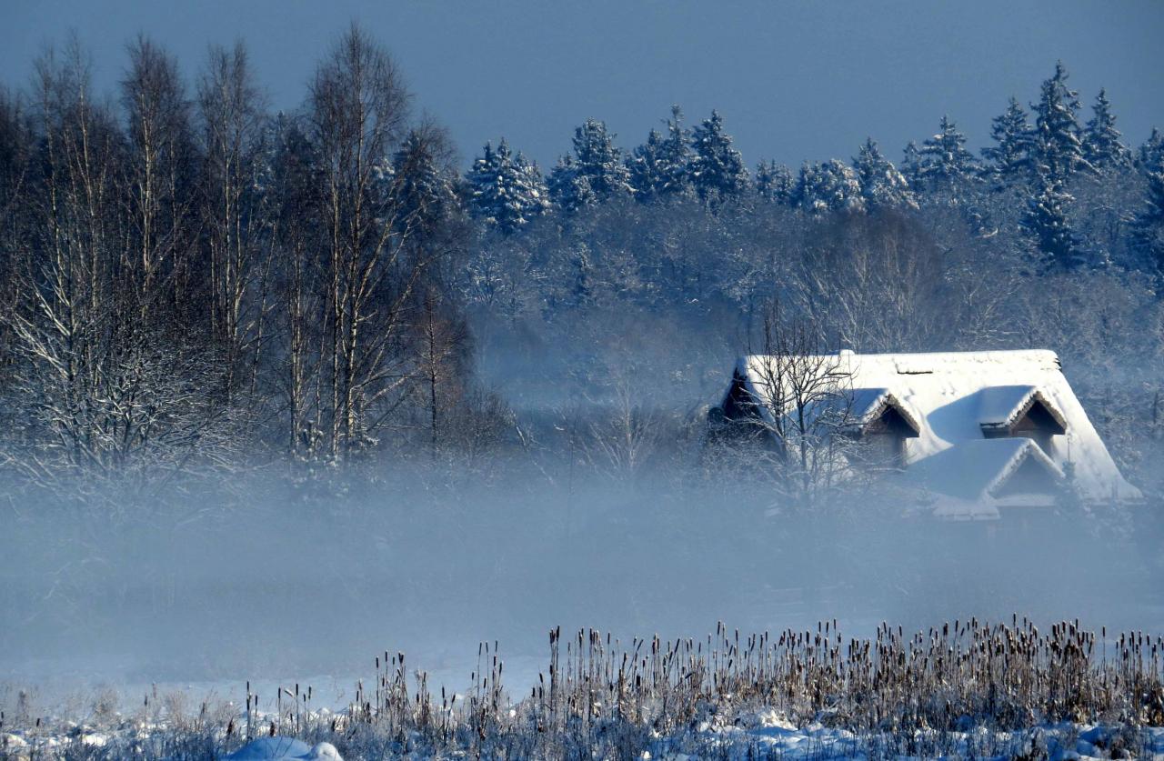 Bialowieza en hiver