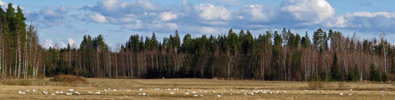 Finlande Carélie