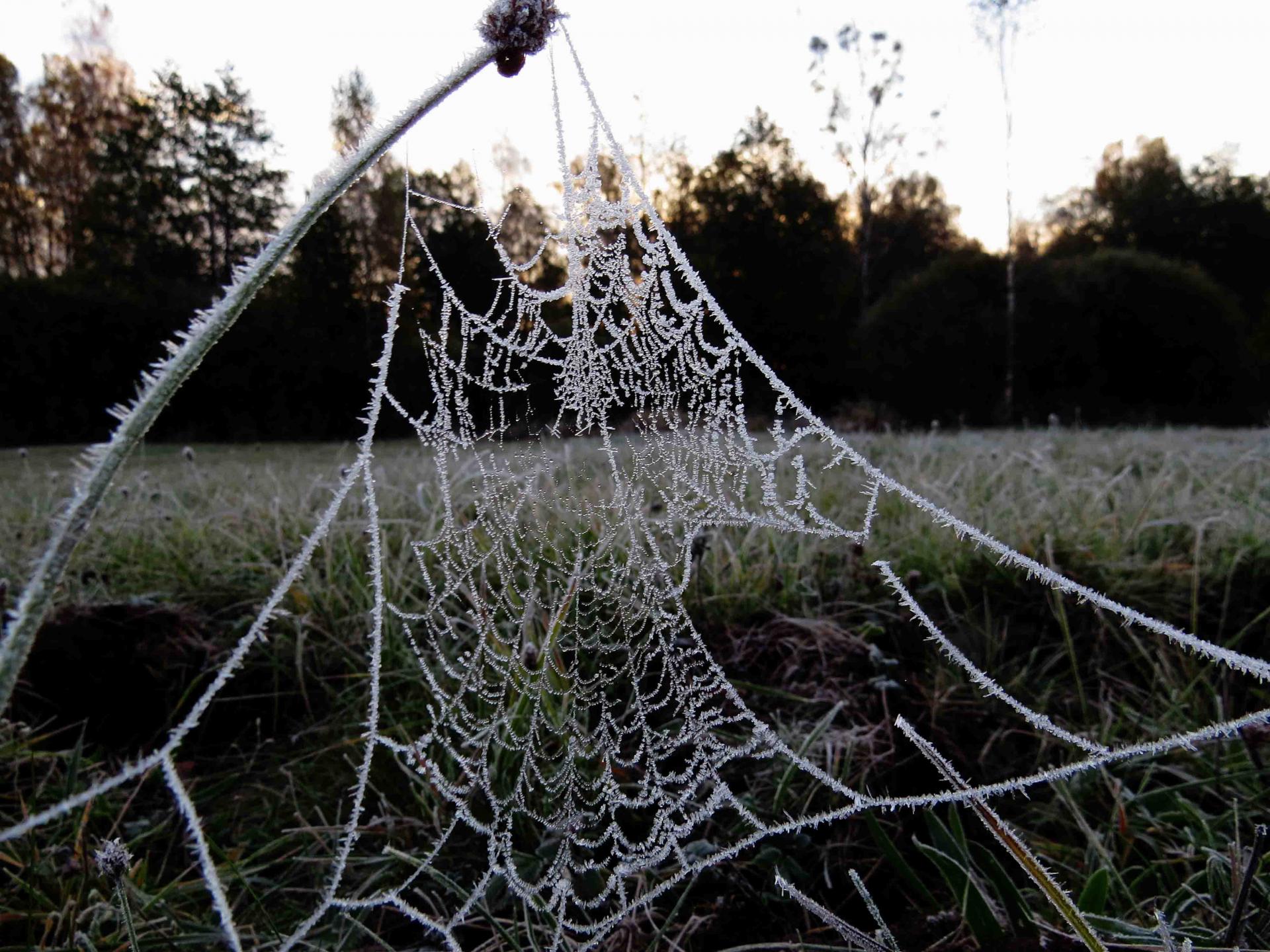 Pologne Bialowieza et Biebrza