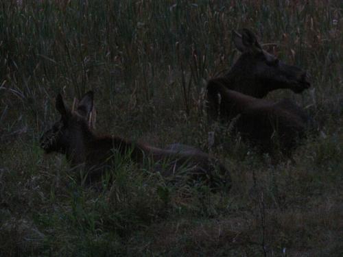 img-4530.jpg