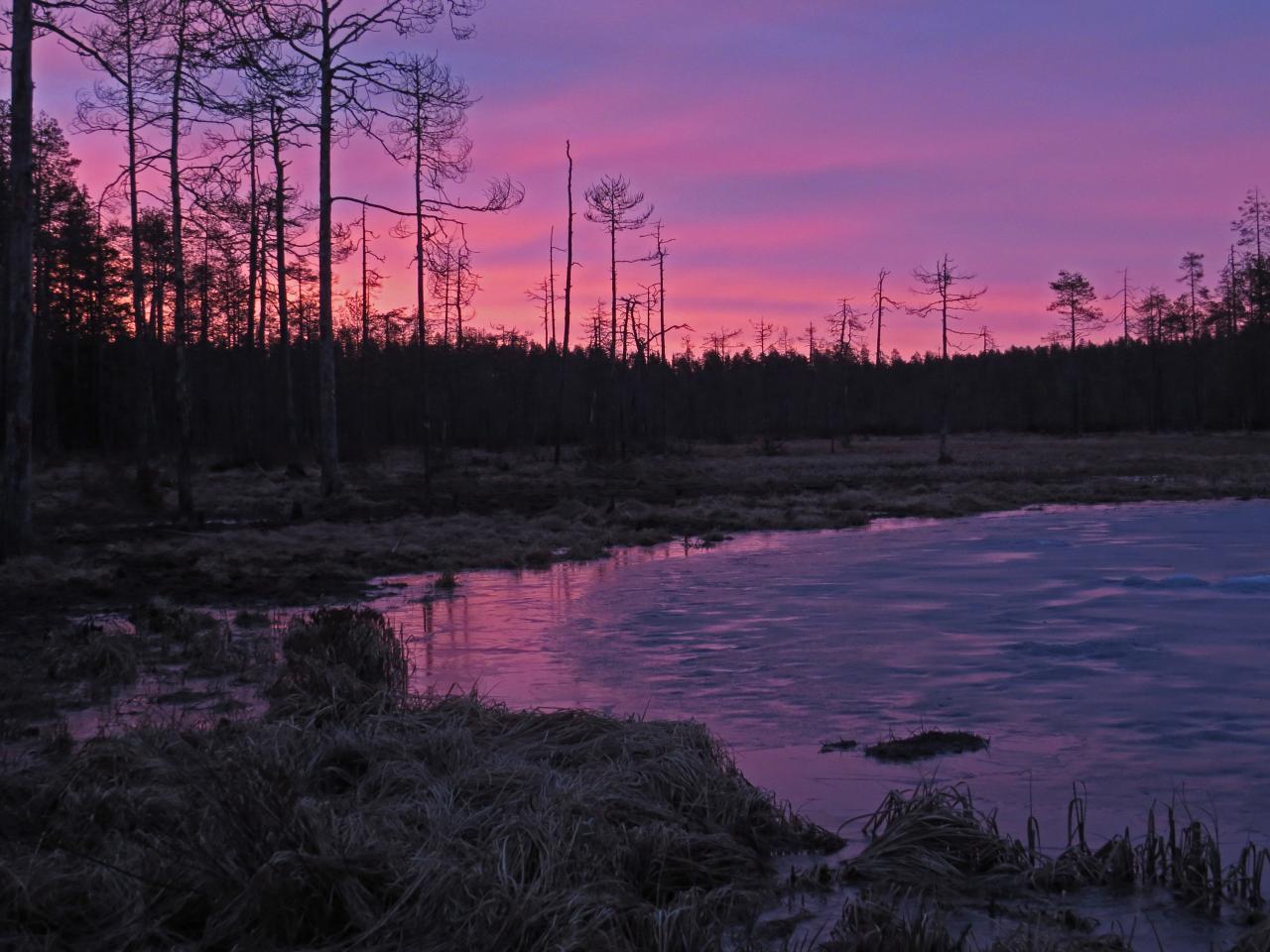 Finlande Carélie