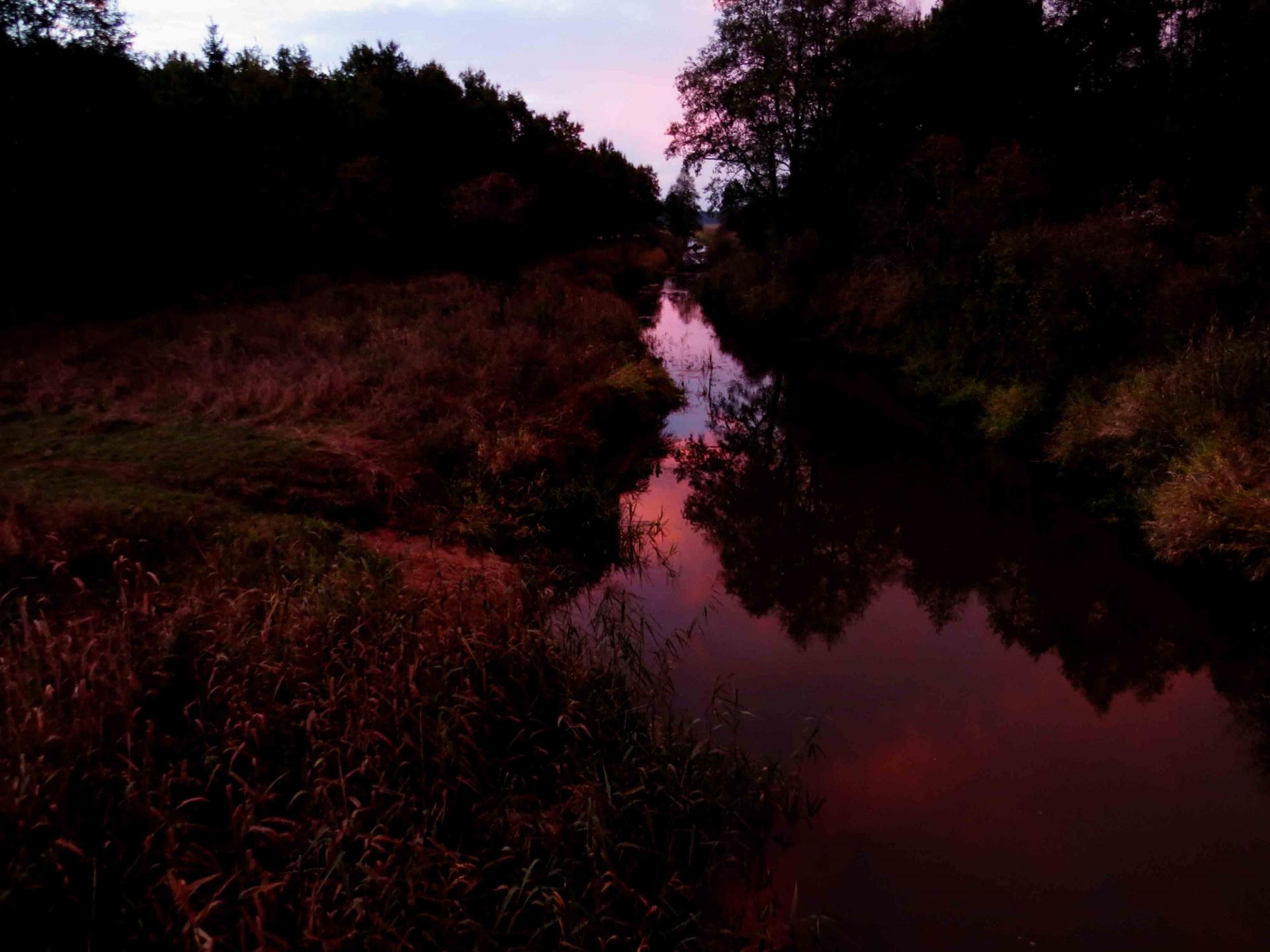 Pologne Bialowieza et Biebrza