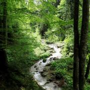 Img 5534 