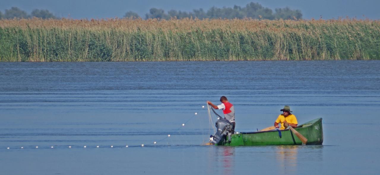 Le Delta du Danube