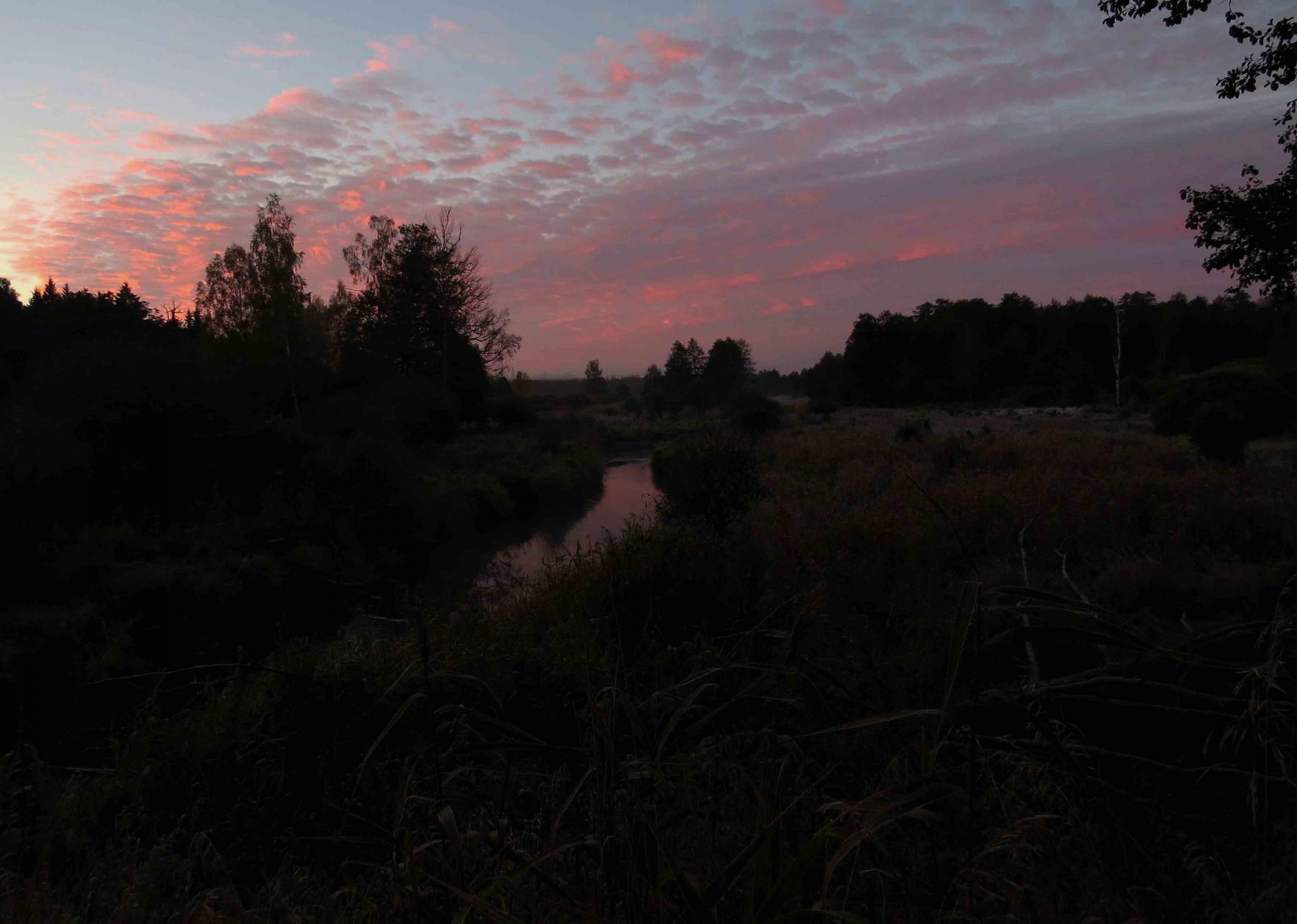 Pologne Bialowieza et Biebrza