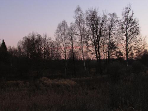 img-7612.jpg