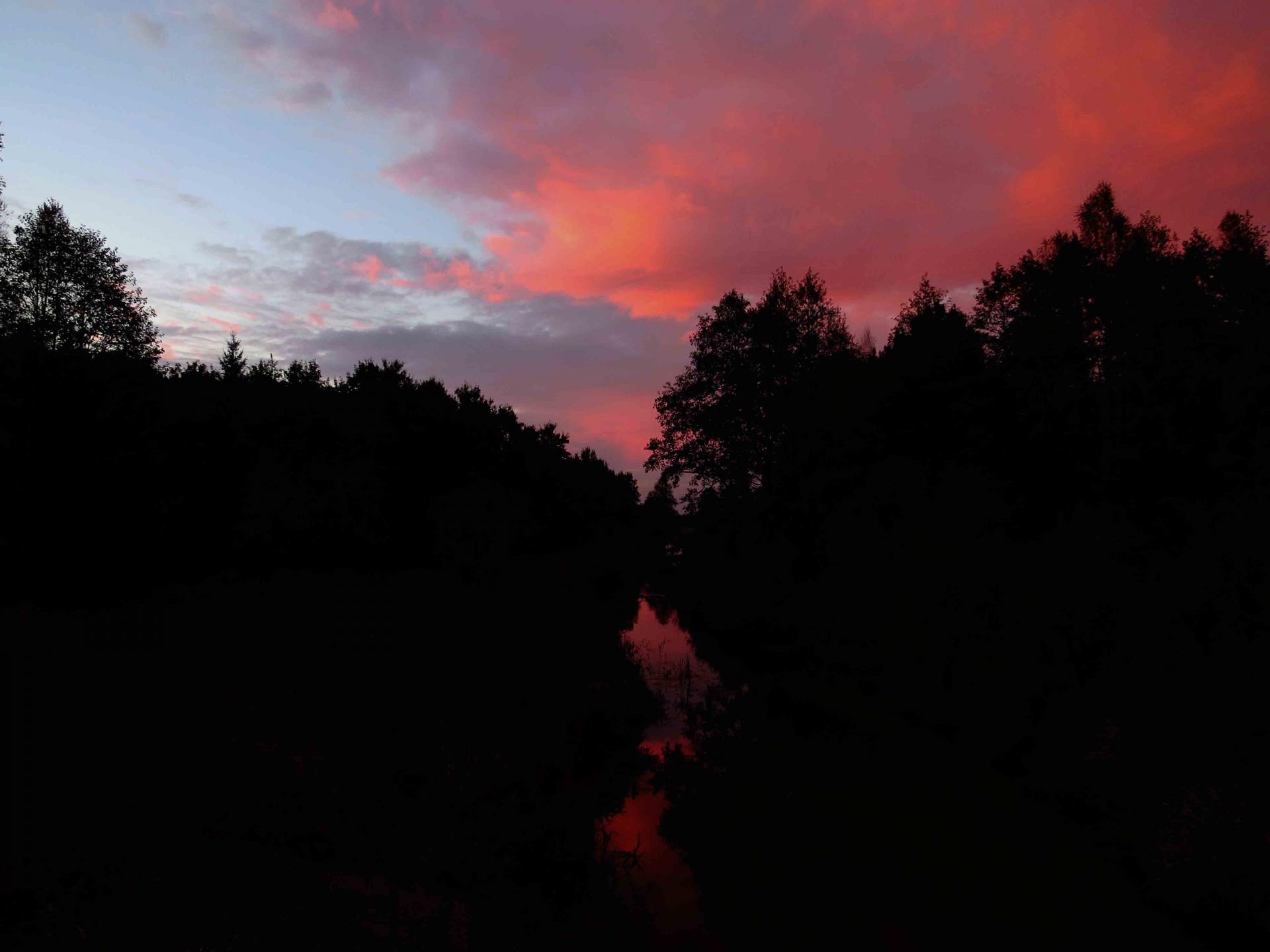 Pologne Bialowieza et Biebrza