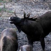 Img 9155 