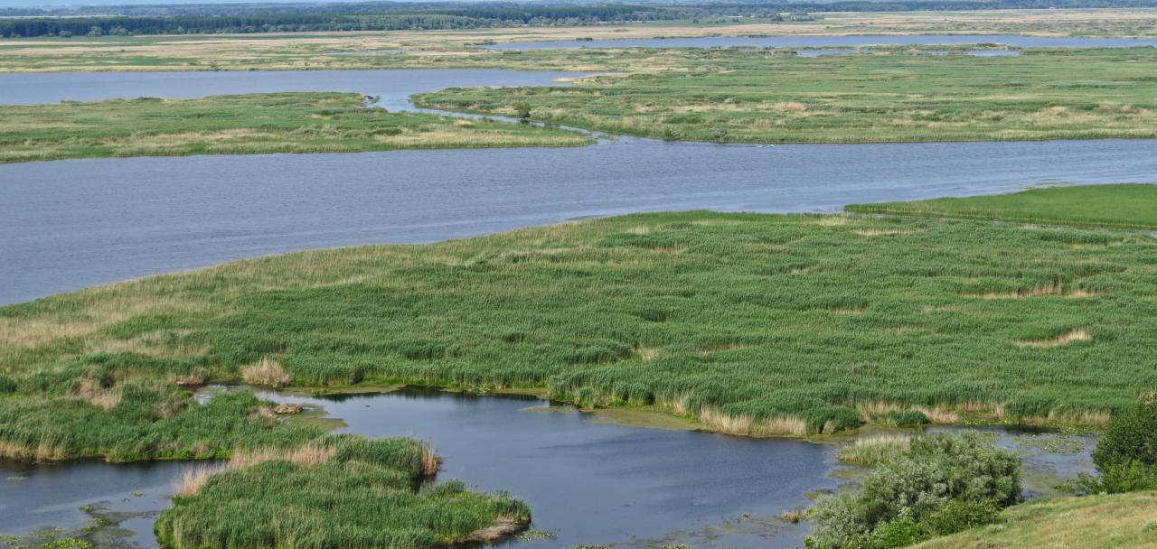 Le Delta du Danube