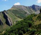 Img 9851