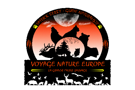 Logo orange transparent bas de page