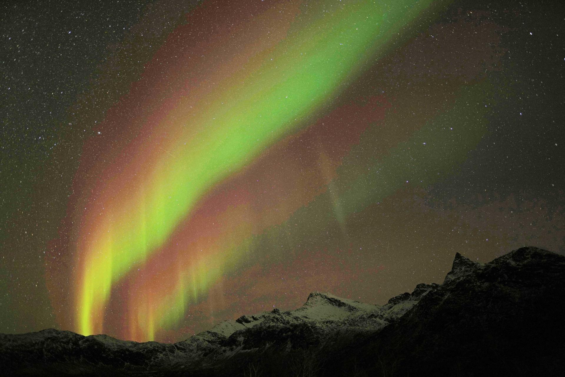 NORVEGE : Orques, baleines et aurores Boréales sous la nuit polaire